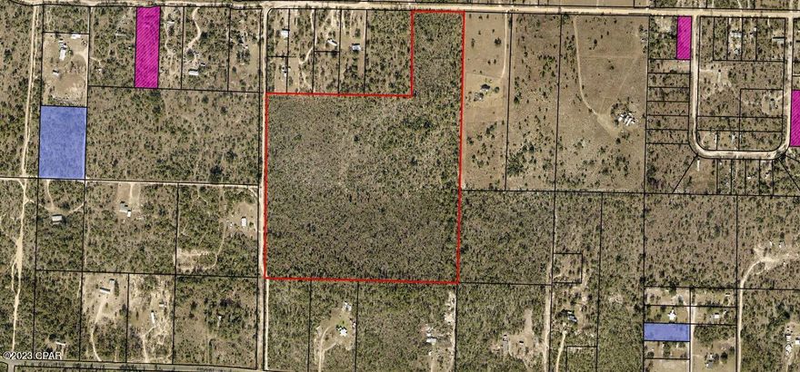 45 acres Just off Hwy 231. wooded pines frontage on 2 roads have a big homestead or maybe build a subdivision NO HOA High and Dry