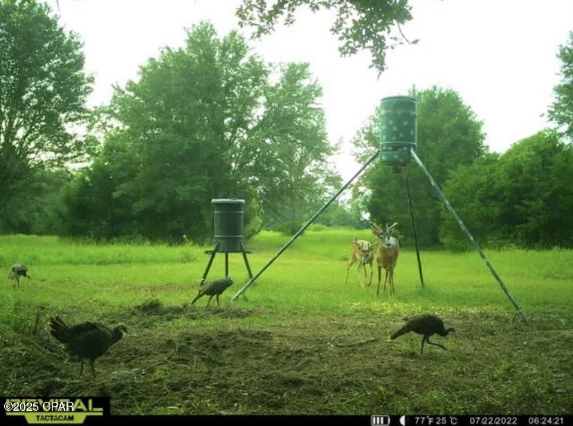 No Named Subdivision - Land