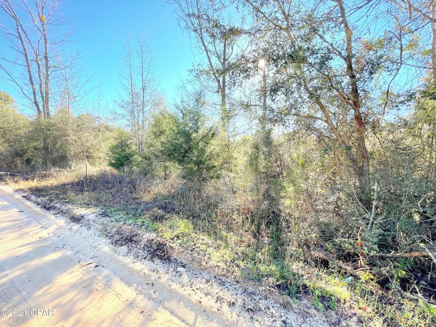 Secluded off Tobe Retherford Road sits this 4.87 acres ready for its new home! Property is primarily wooded and situated in the Caryville area close to Wrights Creek.