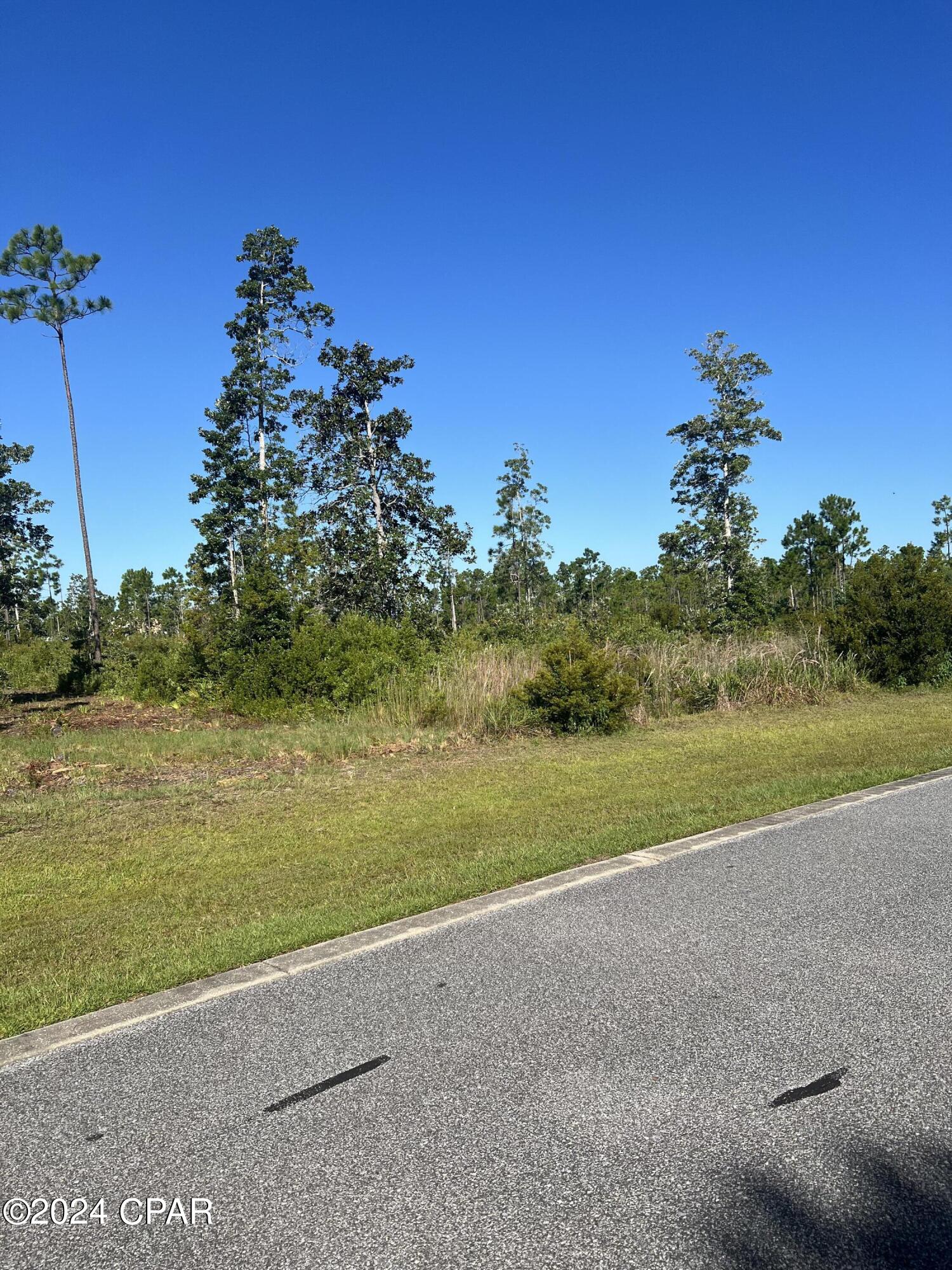 Laird Bayou - Land