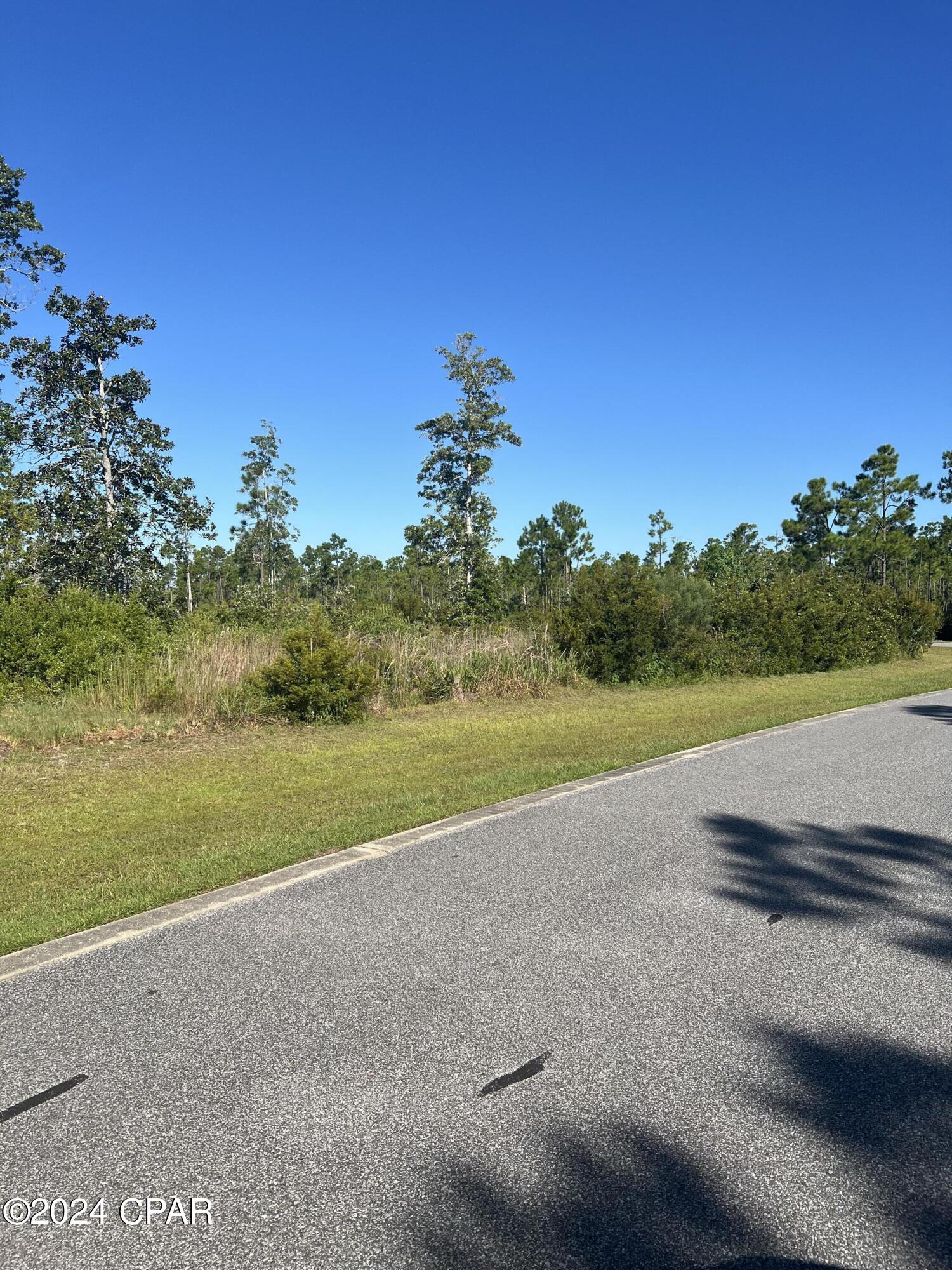 Laird Bayou - Land