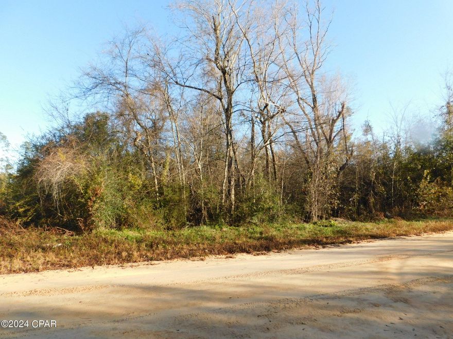 two small lots totaling .31 acres offered as is.  The lots are on a county maintained dirt road and close to a paved road (Silver Lake Rd), the Fountain Post office and US Highway 231.