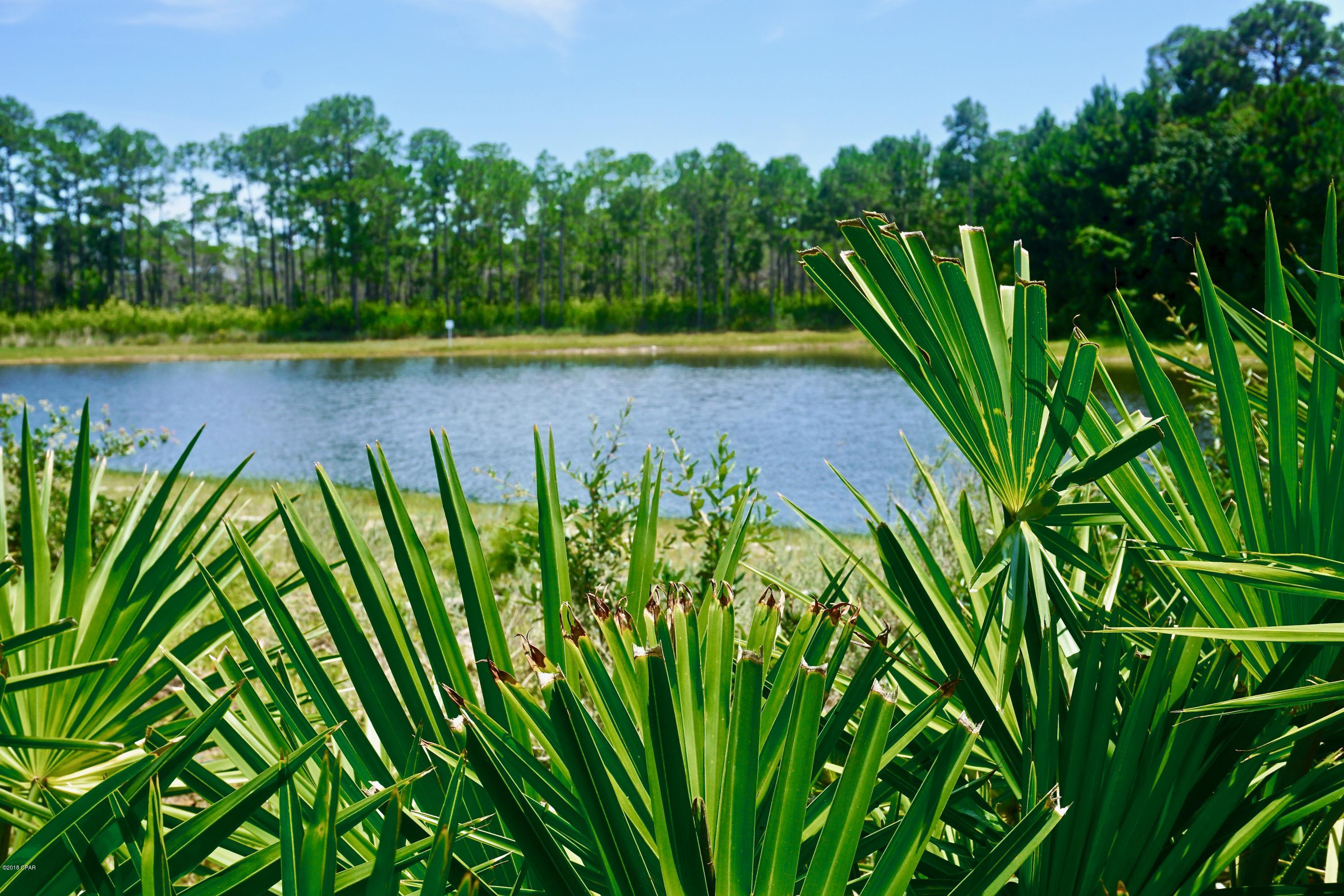 Palmetto Trace Phase 2 - Residential