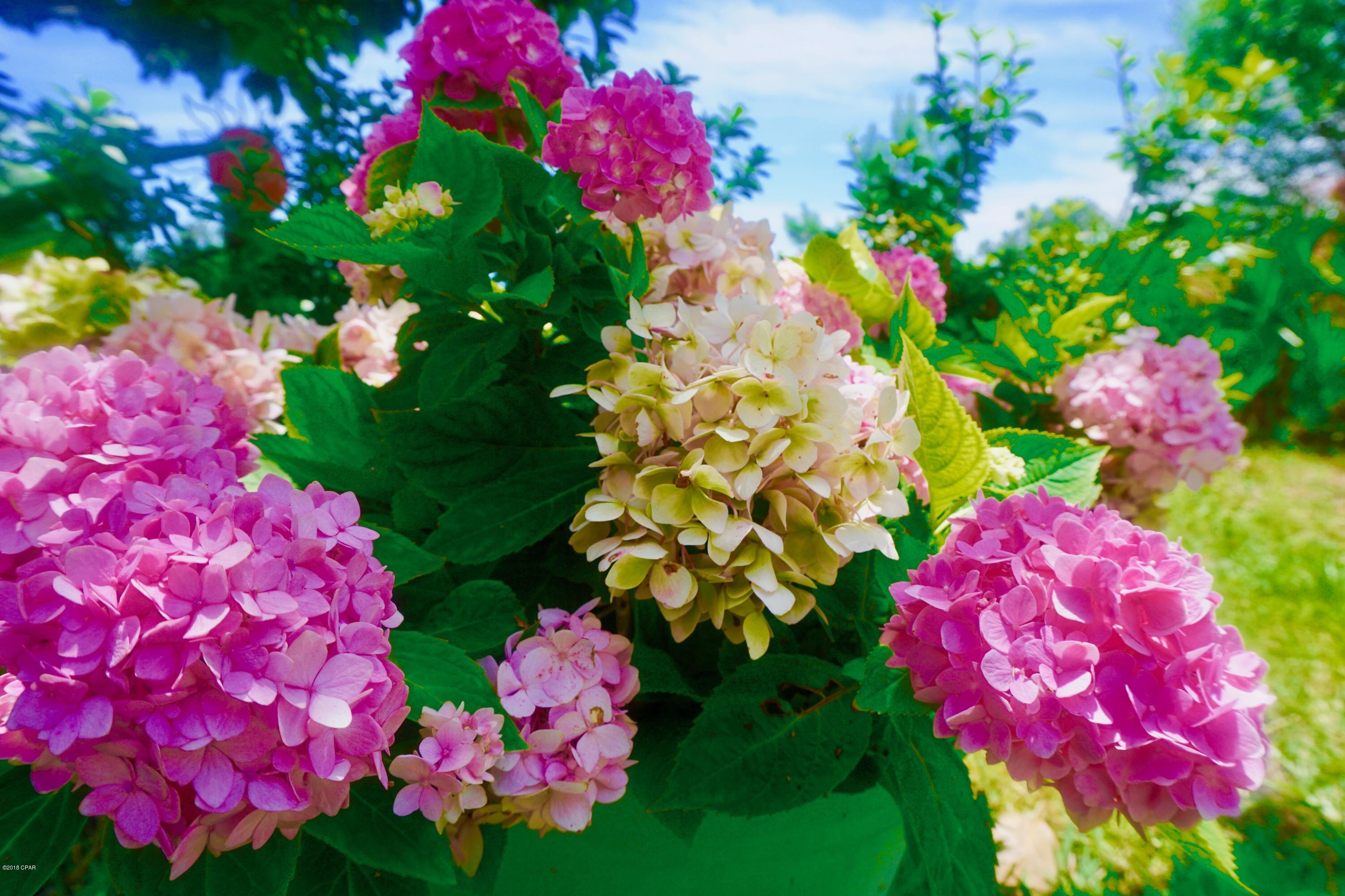 Palmetto Trace Phase 2 - Residential