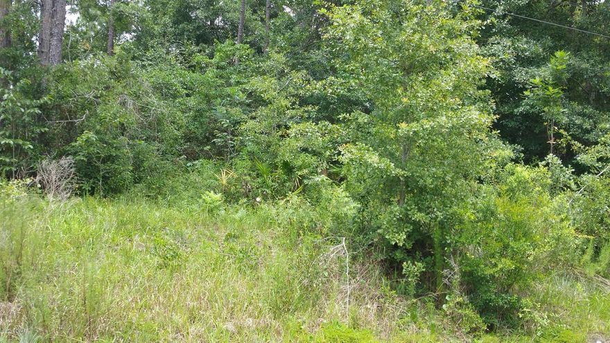 All sizes are apx///great building lots--high on hill ///2 lots to choose from--paved roads--nice homes in neighborhood//Bear Creek is close and so is Deerpoint Lake//great place to raise your children---////Country living at its best!!!!!!!!!!!!!!



Property has been cleared--ready to place mobile home or build!!!!