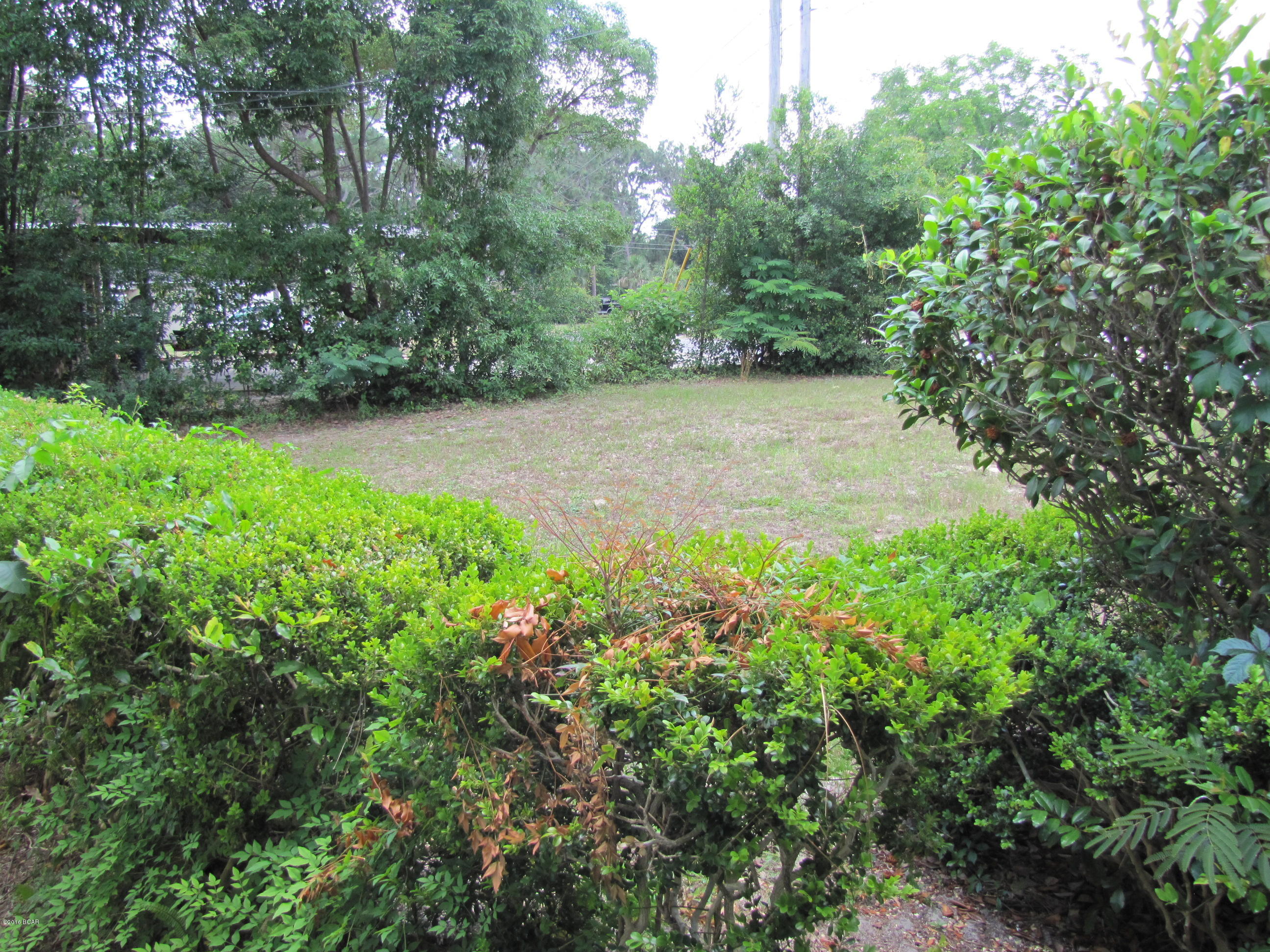 Forest Park - Residential