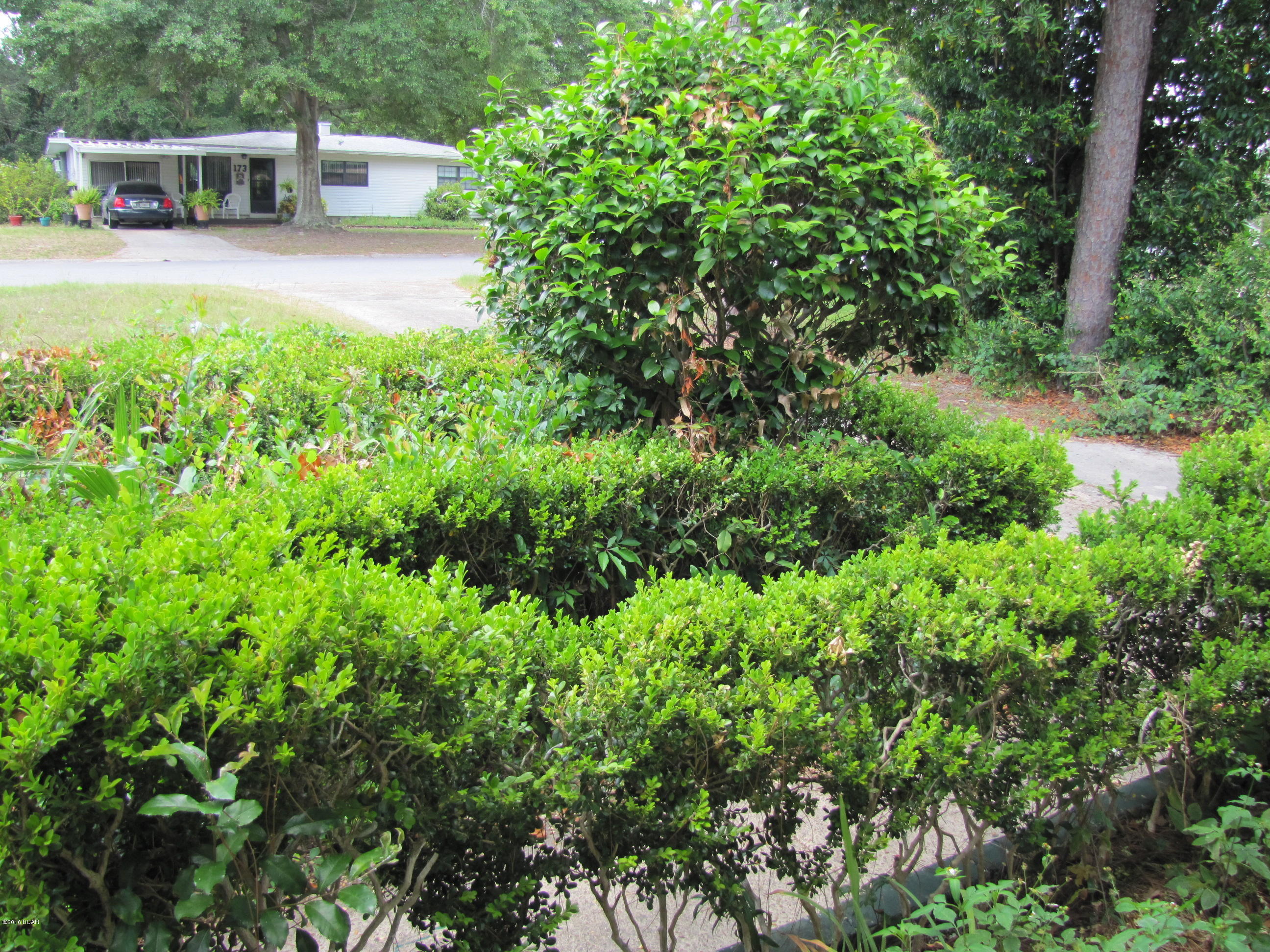 Forest Park - Residential