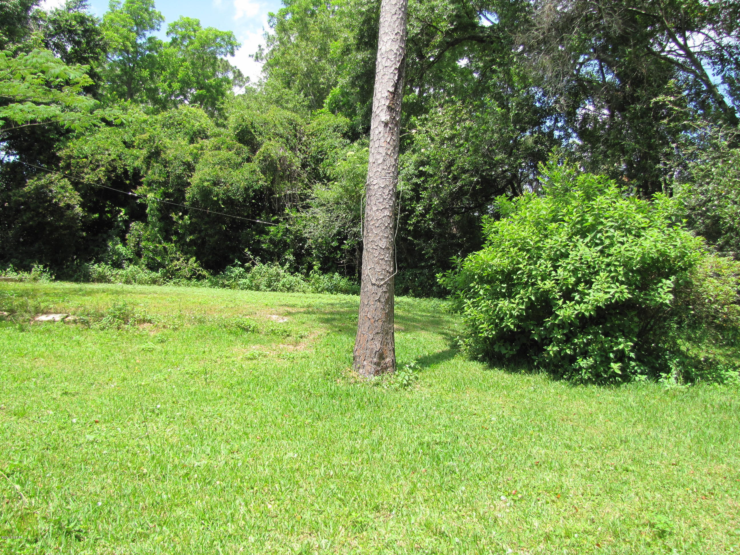 Forest Park - Residential