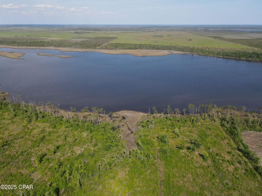 Discover a unique investment opportunity on the bay!  This stunning waterfront property boasts 1,400 feet of pristine and untouched shoreline and over 40 acres of flourishing planted pines, offering both beauty and potential.  Located in the serene community of Allanton, this expansive 53 +/- acre tract presents endless possibilities for investors and families alike.  Imagine securing your own private retreat with direct access to the bay and gulf, where you can create lifelong memories with family and friends.  With ample space for development, this property is also perfect for those seeking future investment opportunities.
This property is definitely a must see!  Call today for more details.

Additional Information:
*Waterfront
*Gulf and bay access
*Endless recreational choices - boating, jet skiing, fishing, paddleboarding, sightseeing
*Potential investment property
*Private and secluded
*Beautiful wildlife/natural Florida coastal views
*40 acres planted in pines
*25 minute drive to downtown Panama City
*40 minute drive to Mexico Beach
*45 minute drive to Northwest Florida Beaches International Airport