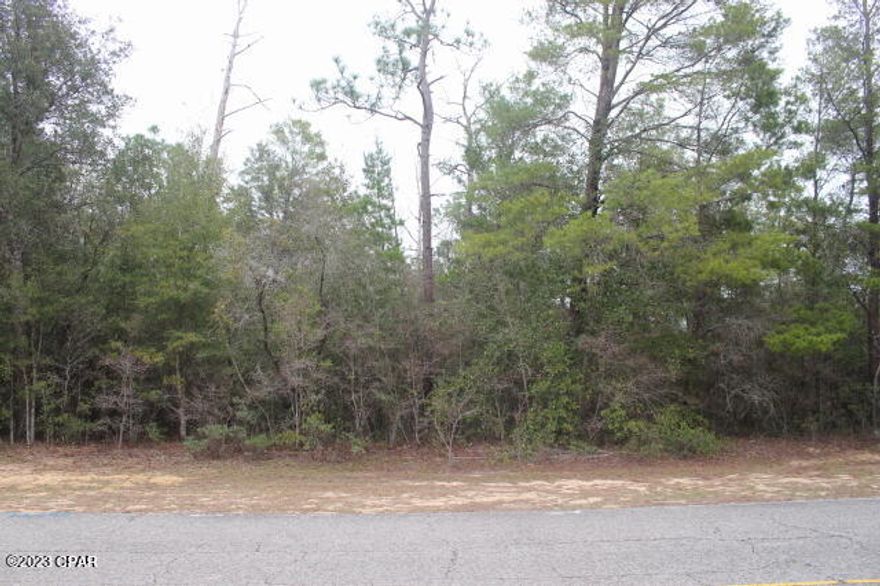 Lots 20 & 21 combined are just about 1/2 ac MOL in size to build your home on. Just a short distance drive to  Hwy 77.  30 min drive MOL to Panama City to Beaches.  Short drive to Sunny Hills Golf Course and to the several lakes located within the subdivision for boating, swimming and fishing.  Located on a paved road and in Unit 1 a desirable area of the subdivision.  Lots of new construction in the area.