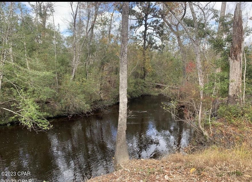 Welcome to NW Pippin Cemetery Rd, Clarksville, Florida! This stunning vacant land offers an incredible opportunity for those seeking a serene and picturesque setting. With 185 acres of sprawling land, this property is a nature lover's dream come true. Situated along a charming 1-mile creek frontage, the tranquil atmosphere and breathtaking views make this land truly special. Imagine waking up to the soothing sound of flowing water and enjoying the gentle breeze rustling through the trees. Whether you're looking to build your dream home, start an agricultural venture, or simply invest in land with potential, this property offers endless possibilities. The expansive size ensures plenty of space to explore and create your own private oasis. Located in Clarksville, you'll enjoy the peacefulness of country living while still being within easy reach of modern conveniences. Immerse yourself in the beauty of Florida's natural landscape, with abundant wildlife and lush greenery surrounding you. Don't miss out on this incredible opportunity to own a piece of paradise on NW Pippin Cemetery Rd. Act now and let your imagination run wild as you envision the endless possibilities that await you on this expansive 185-acre property. Schedule a showing today!