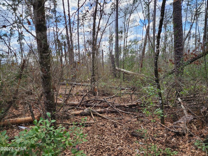 10 Acres of vacant land, mostly wooded but storm damage woods. Great homesite in the country, just off paved road. Mobile homes welcome