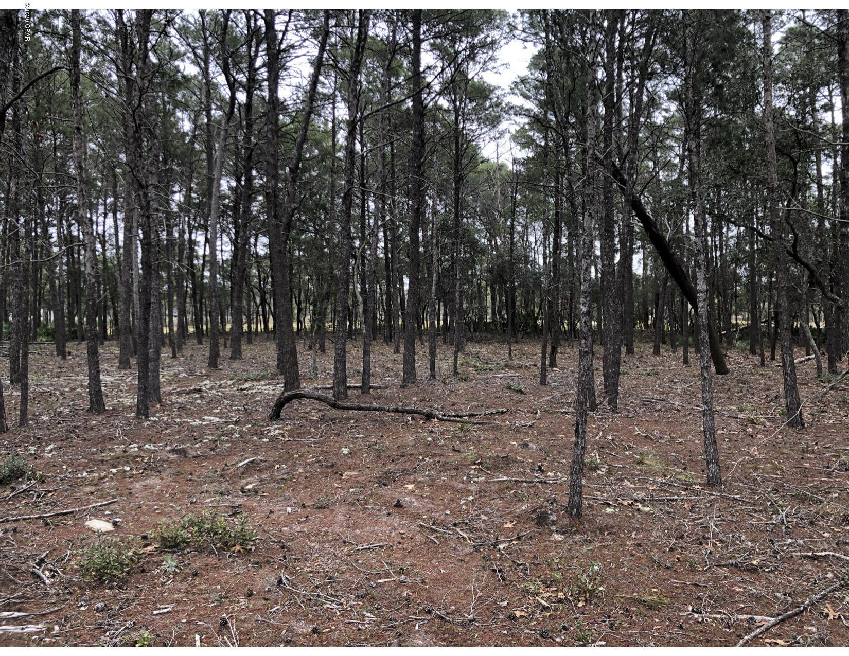 Wild Heron Phase III - Land