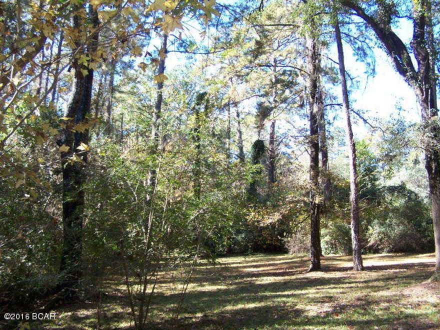 4.6 Beautiful acres in a great neighborhood in Marianna. Used to be a home but has been removed, some remains of a tennis court. Property has all kinds of landscaping shrubs and plants scattered through out. Very quiet, secluded and close to mother nature, right in the middle of town! Great place to build your new home! City water available.