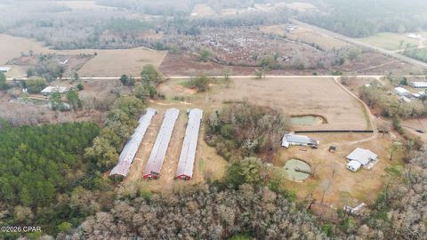 1208 Alex Brown Road Bonifay FL 32425