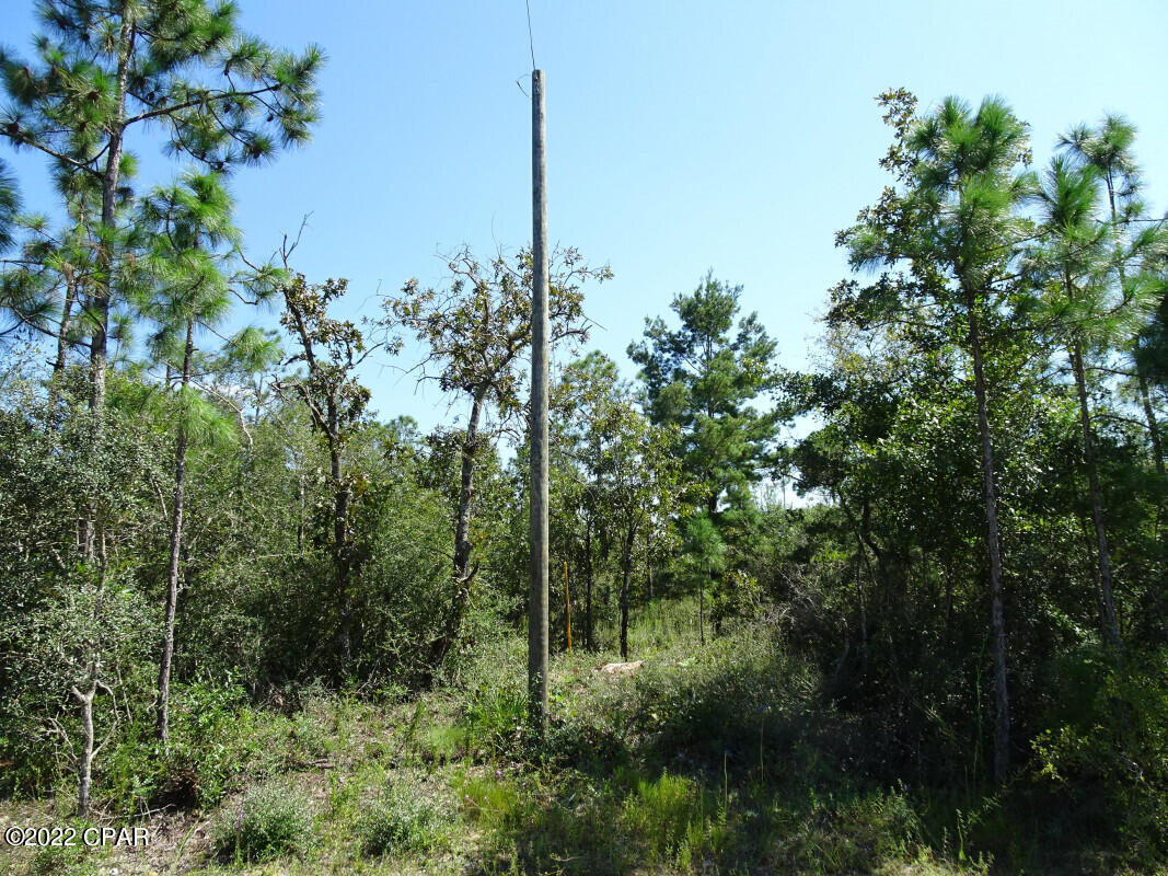 No Named Subdivision - Land