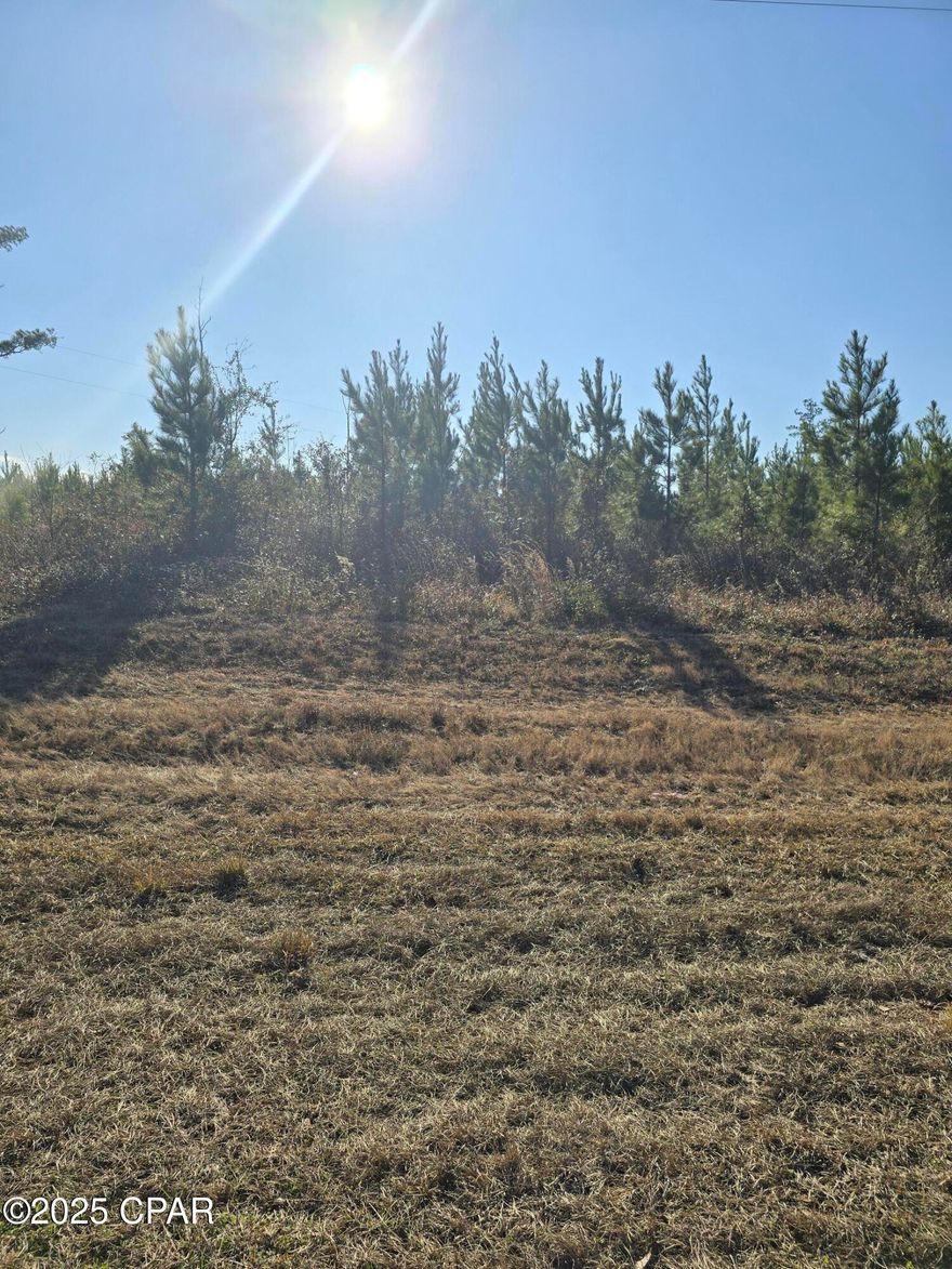 Check out this beautiful wooded four acre lot located with road frontage on Peanut Road a Justice Road .  It has young planted pines and is ready for you to build your dream home.  Seller has a current survey.  Proposed Deed Restrictions.  No manufactured homes allowed. Lot 2 will be lessed out of the parent parcel.