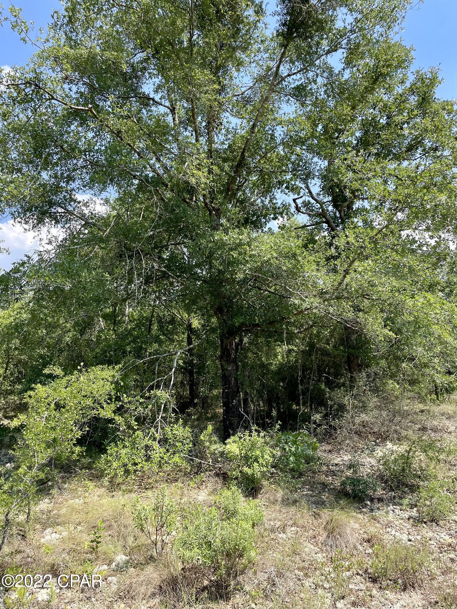 [No Recorded Subdiv] - Land