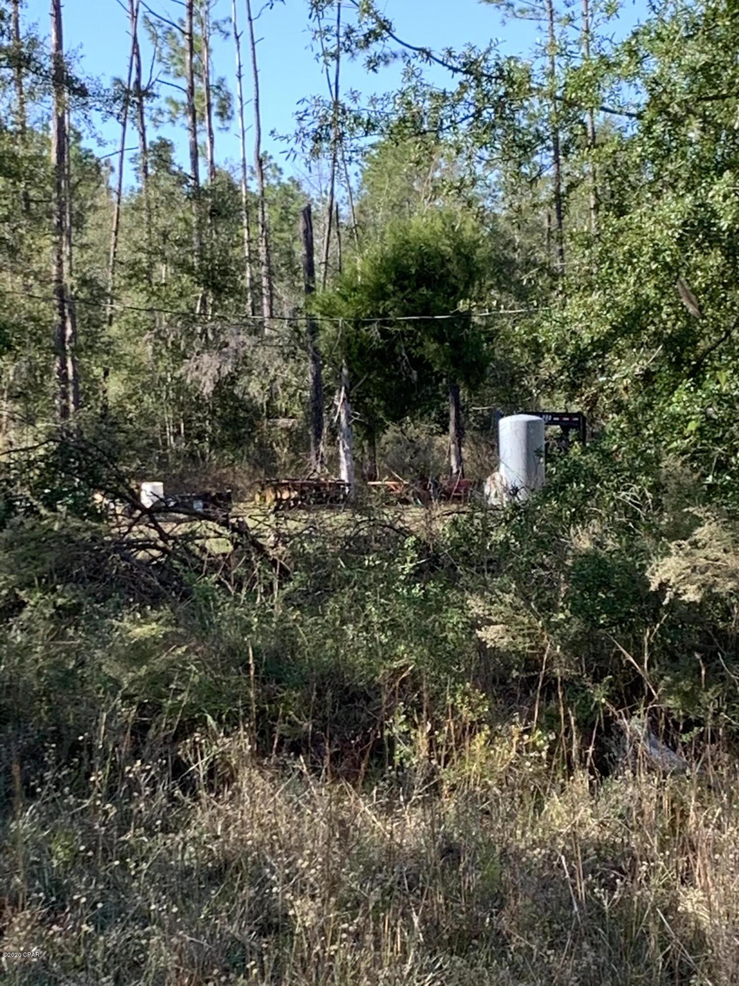 Blue Springs Plantation - Land