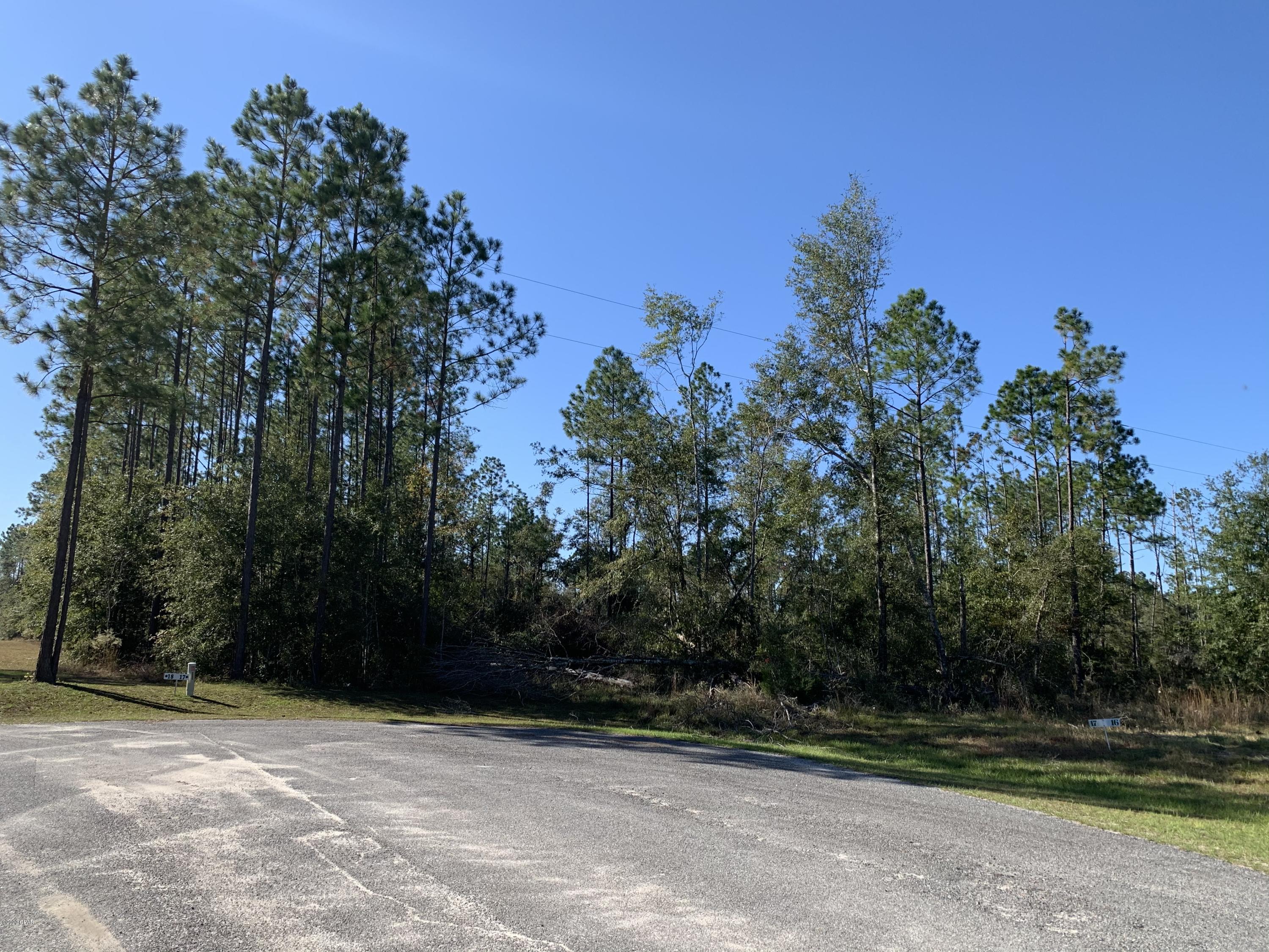 Blue Springs Plantation - Land