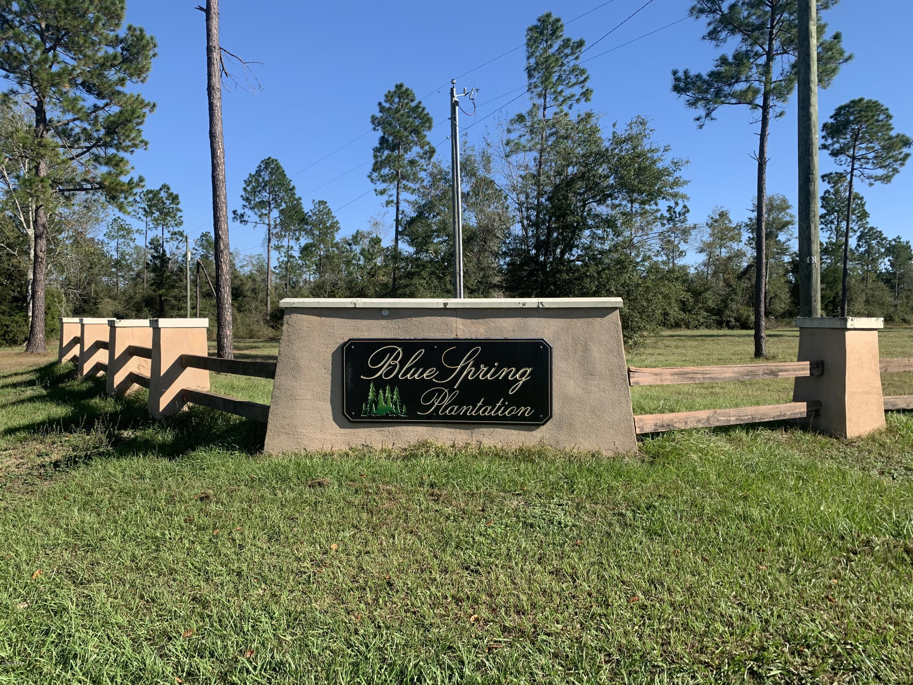 Blue Springs Plantation - Land