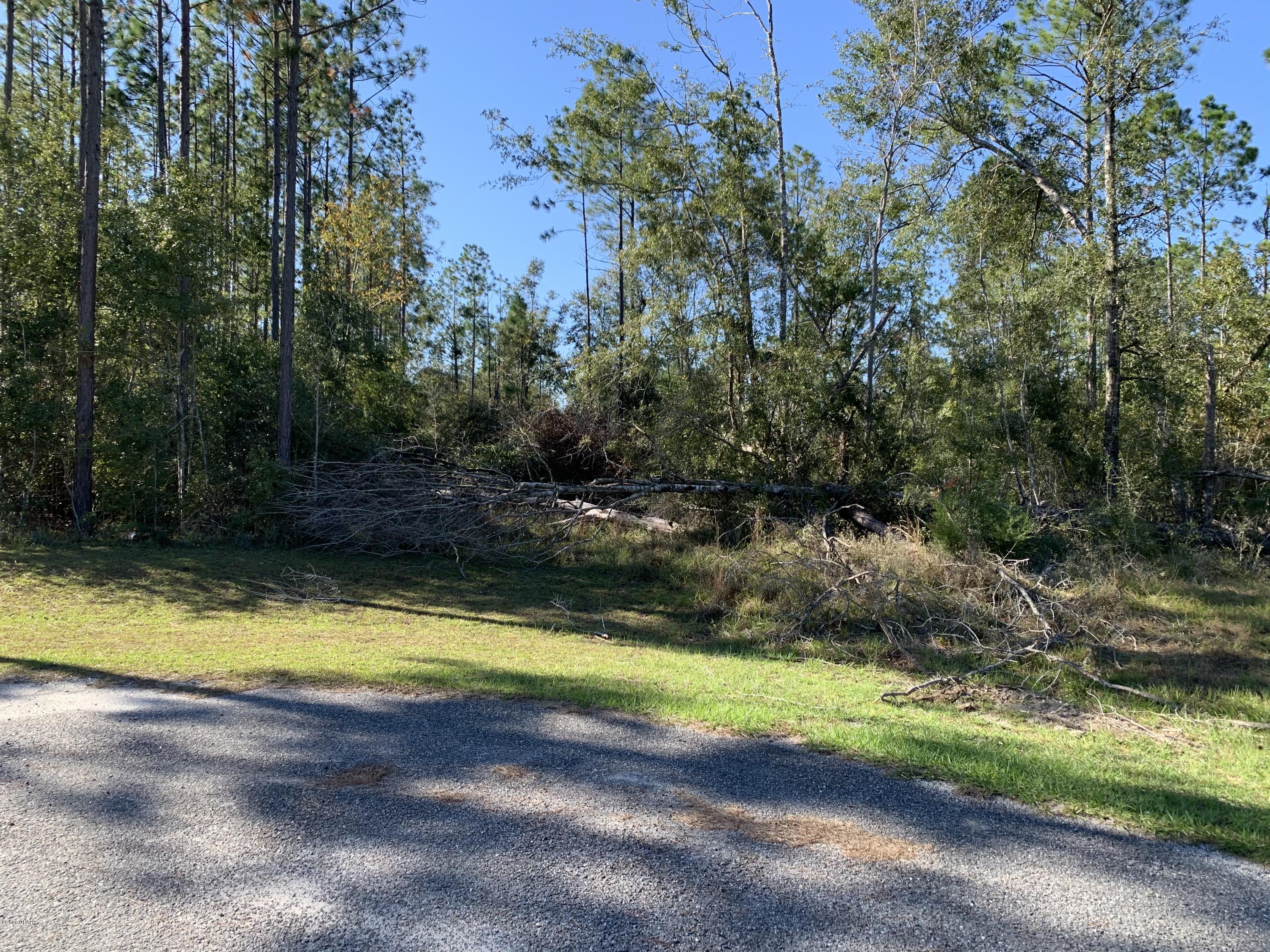 Blue Springs Plantation - Land