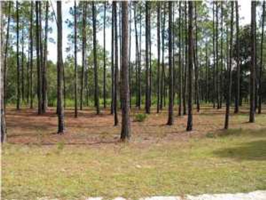 THIS IS NOT A SHORT SALE! No waiting months for bank approval. Build your dream home on this beautiful lot now, located in the exclusive development of RiverCamps on Crooked Creek. Only 405 planned homes will be built on 1500 acres of natural wooded preserve on the banks of West Bay. If you enjoy the peace and serenity of the outdoors, fishing, hiking and nature, you will love this area. Enhanced by many amenities such as the RiverHouse with pool, pavillion and fitness center, a boat ramp to launch your boat, kayaks and canoes, RiverCamps offers you a lifestyle you will love.