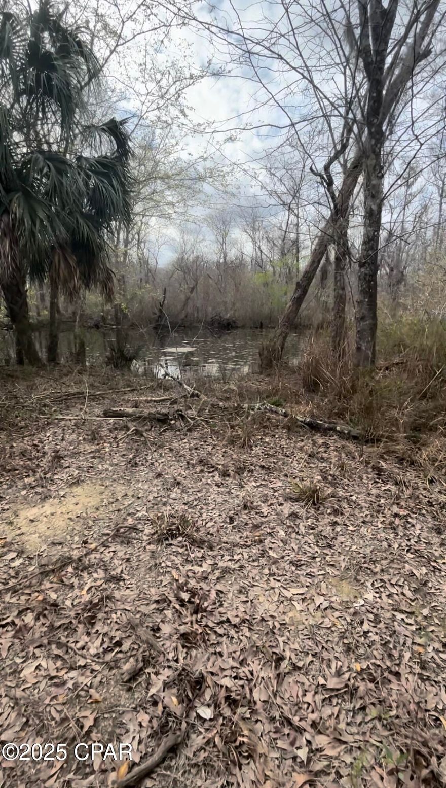 Waterfront Fisherman's Retreat- Affordable Land with Cabin and EASY Seller financing available! Escape to the peace and quiet of Wewahitchka with this waterfront property that's a dream for outdoor lovers! Nestled along the waterway that connects directly to the Chipola River this is a fisherman's cabin that offers endless potential. The Cabin is a fixer upper, but with some TLC, it could become the perfect weekend getaway. Enjoy direct water access for fishing, kayaking right in your backyard! Also sold with property is adjoining parcel!! Call today for details!