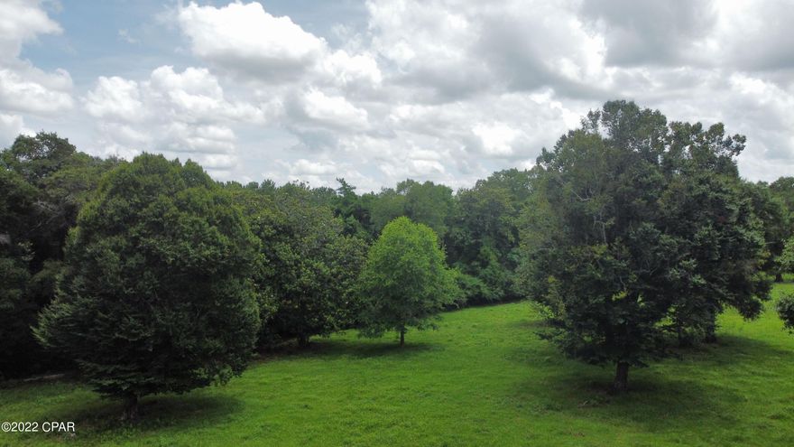 Lot split of 10 +/- acres upon approval from the County survey. This is agricultural land, farmland with mature trees, with a balance of mature trees. Utilities are at the road. Will require septic tank and a well in order to make your dream home a reality on this beautiful parcel of land. Pasture area will be fenced upon a successful closing and the seller will have access to the highway cleared for the new owner.