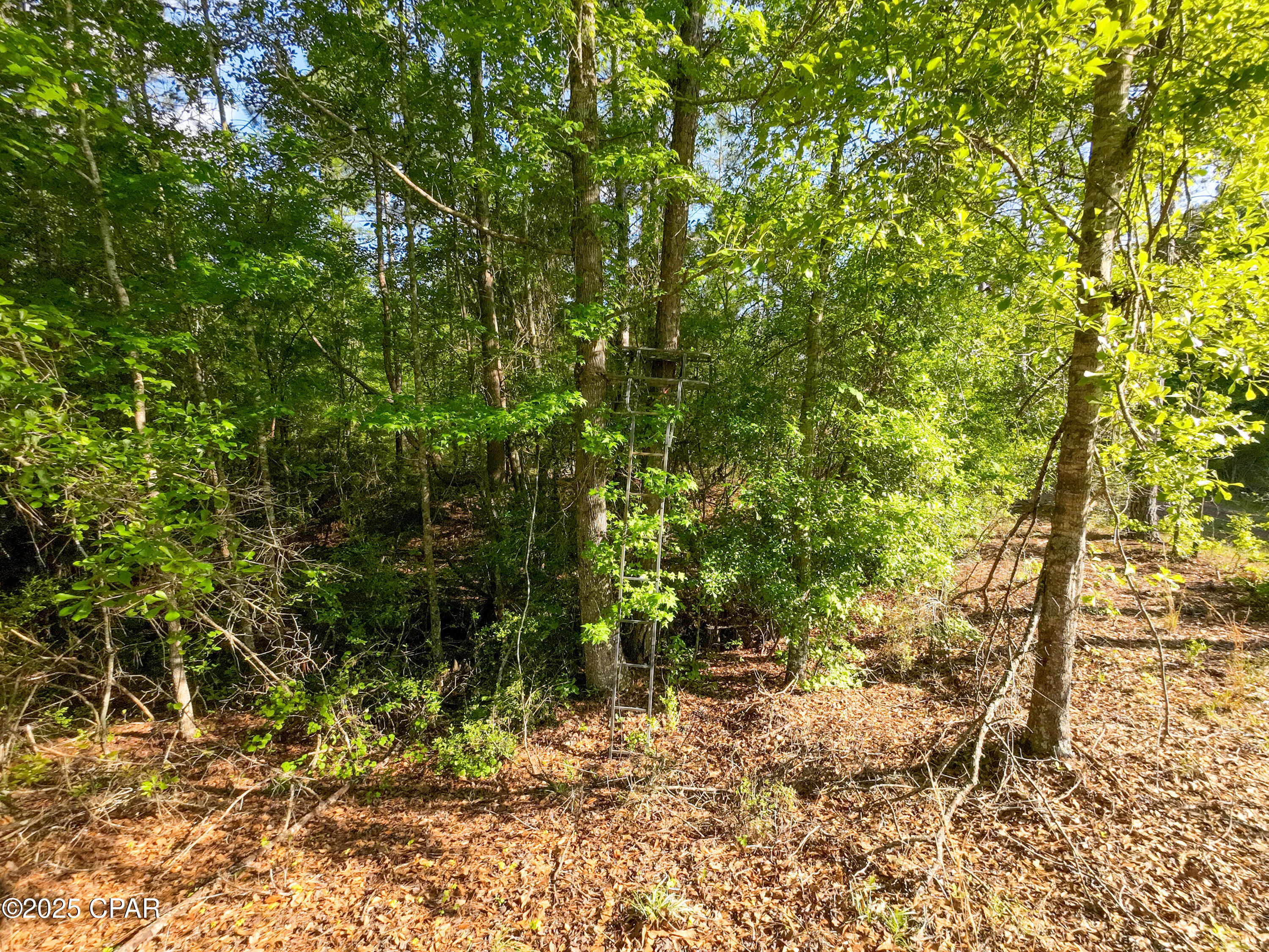 [No Recorded Subdiv] - Land