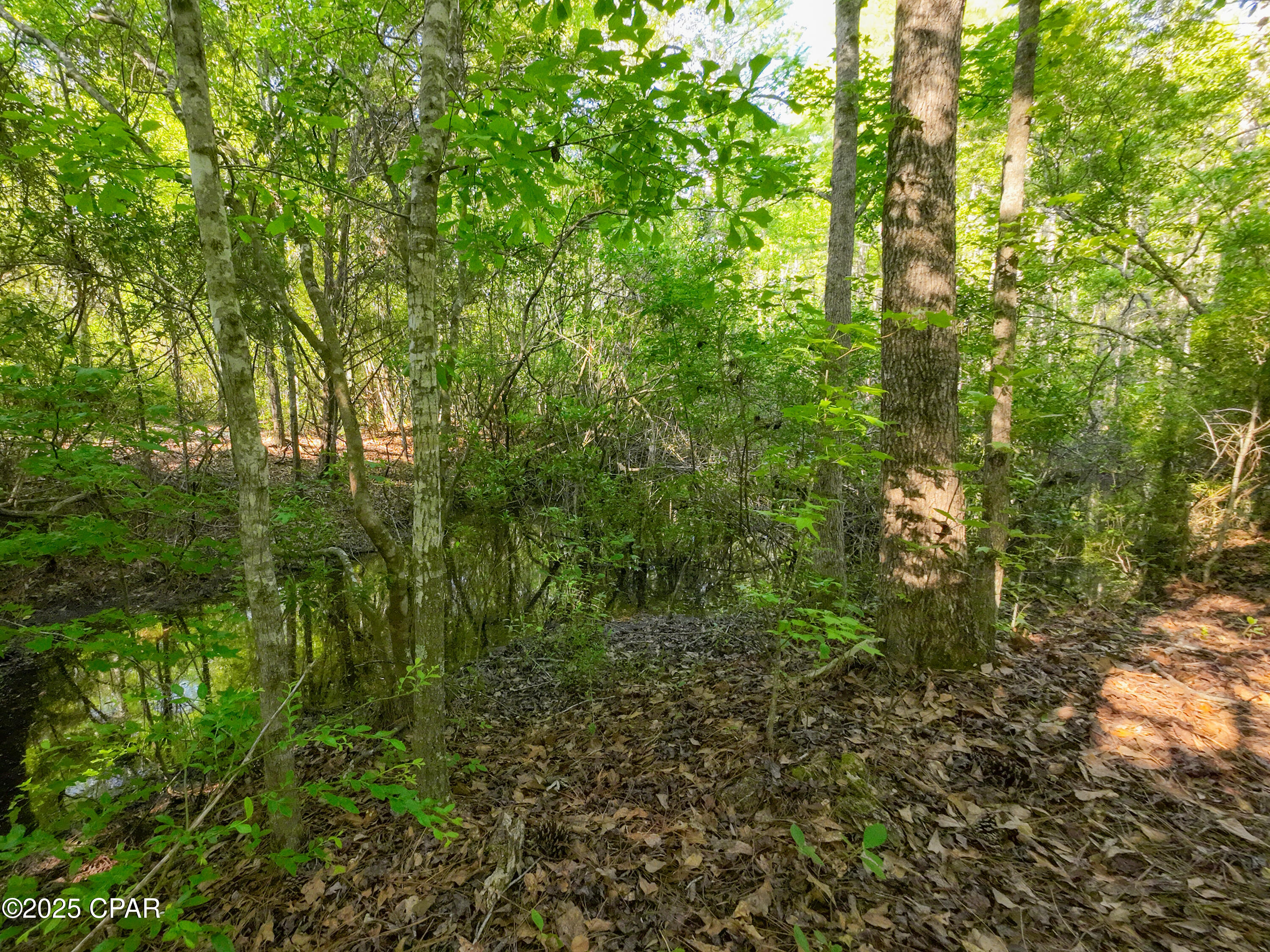 [No Recorded Subdiv] - Land