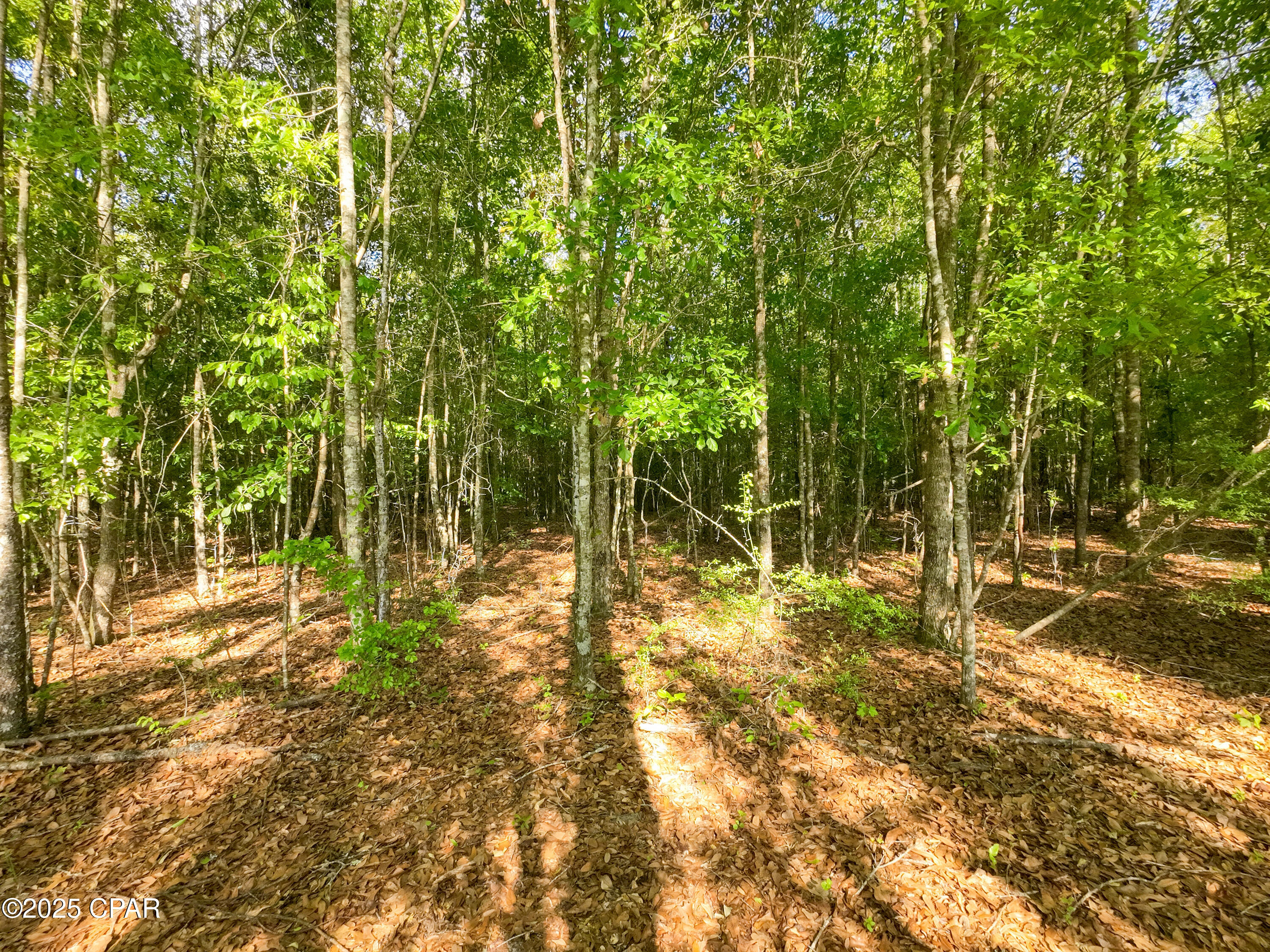 [No Recorded Subdiv] - Land