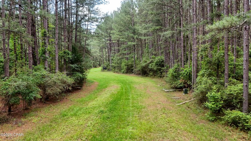 Gorgeous 6.3+/- Acre building lot in the beautiful Reedy Creek community! This property boasts over 300 feet of frontage, and is chock full of hardwood and softwood trees alike. With an East to West disposition and a subtle slope to the back, this property is offers beautiful lay, and multiple potential home sites depending on preference. 

Reedy Creek itself is a gorgeous gated community with an abundance of tree canopy and oak lined ingress and egress, making even the ride in picturesque. Call to schedule your showing on this gorgeous lot today!