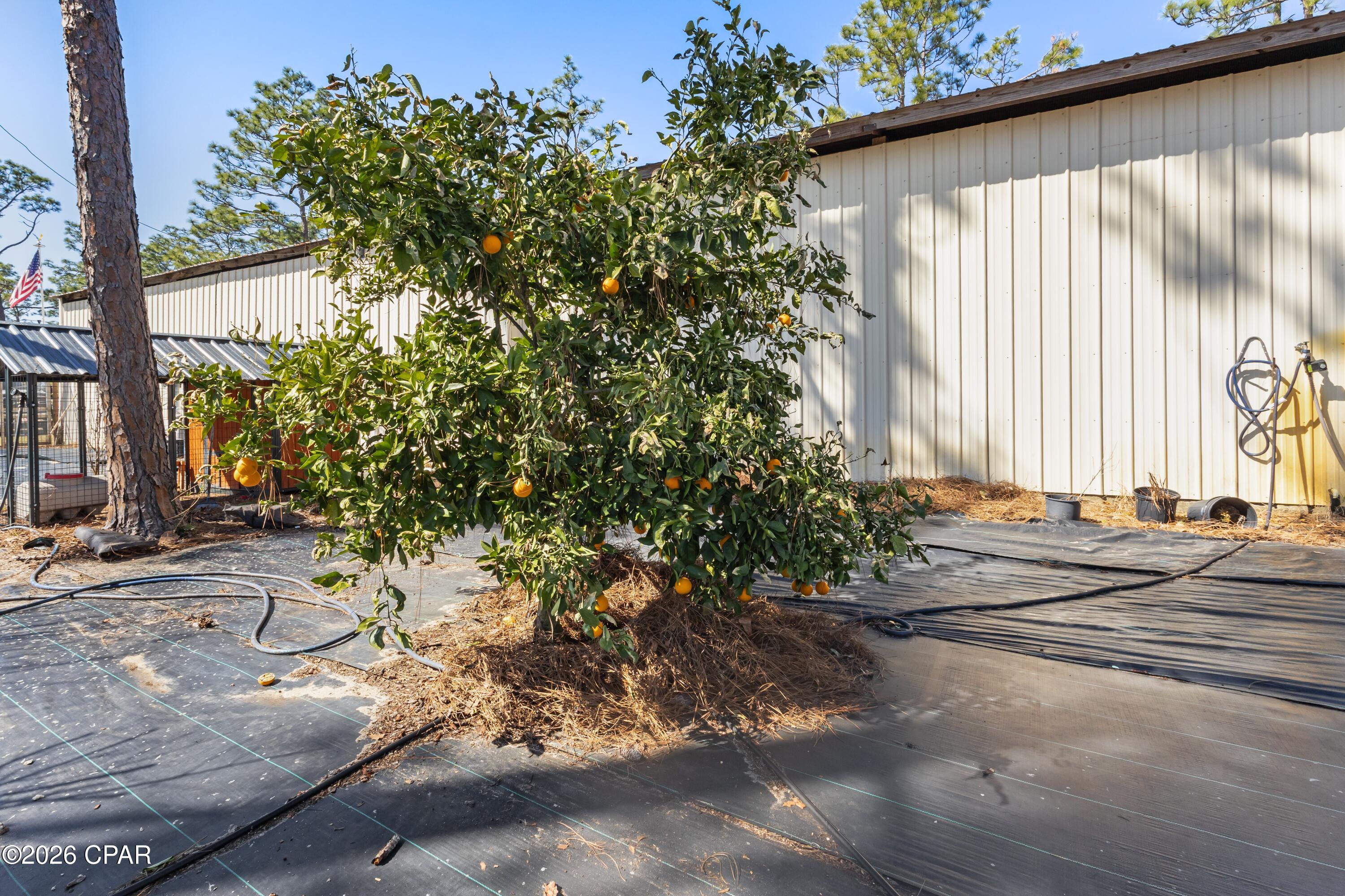 [No Recorded Subdiv] - Land