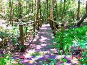 Creek Forest Estates Unit 1 - Residential