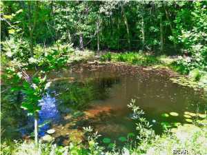 Creek Forest Estates Unit 1 - Residential