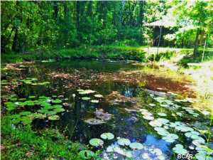 Creek Forest Estates Unit 1 - Residential