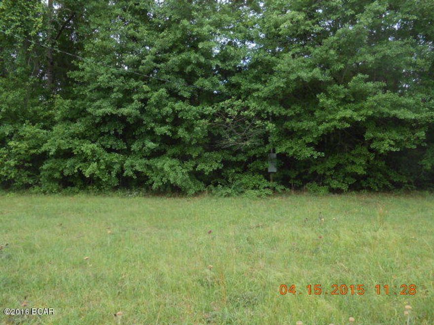 Reduced!!Great 4.46 acres in Rural Holmes County. Mostly wooded, but some open land with a power pole where camper trailer was previously parked. Land is level and is a good location for your new home, mobile home or week end get away