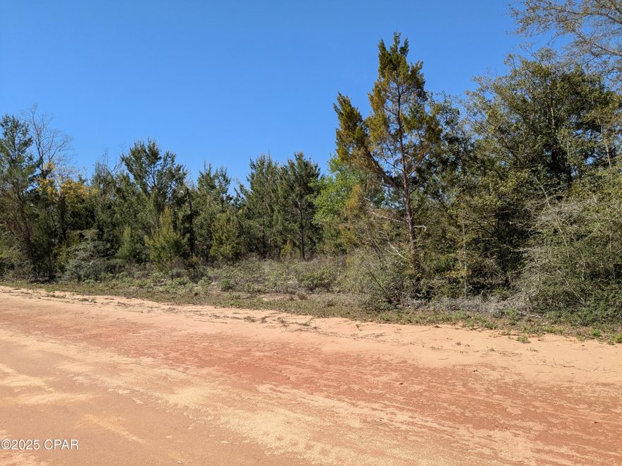 Nice wooded lot would make an excellent
homesite for a stick built home or manufactured home. Lot has a lot of nice oak trees and cedar trees and an assortment of others. It is located on a high area so no flooding. 
Very quiet and peaceful area.