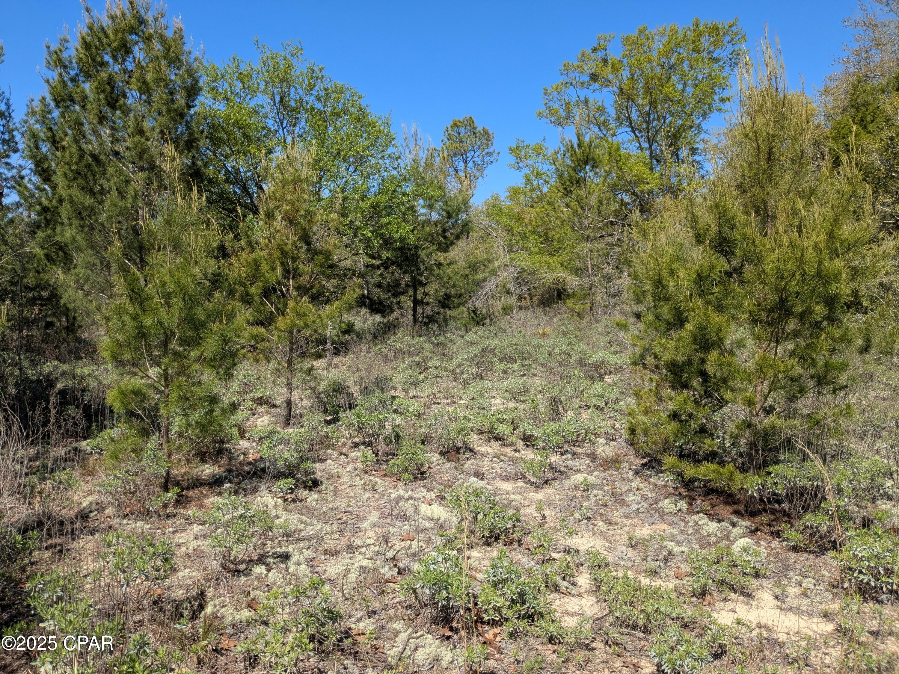 Compass Lake Hills Unit 3 - Land