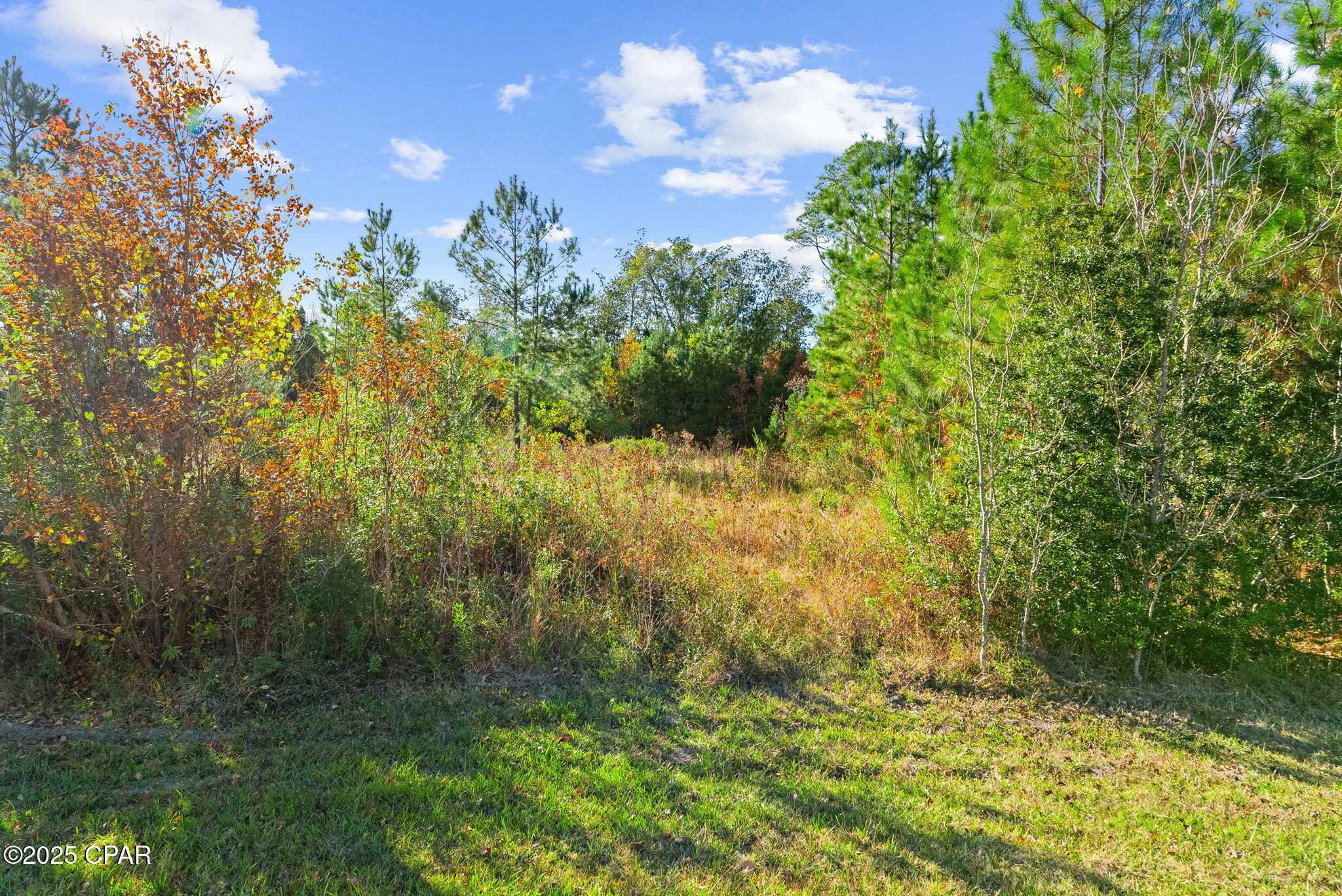 Red Bull Island - Land