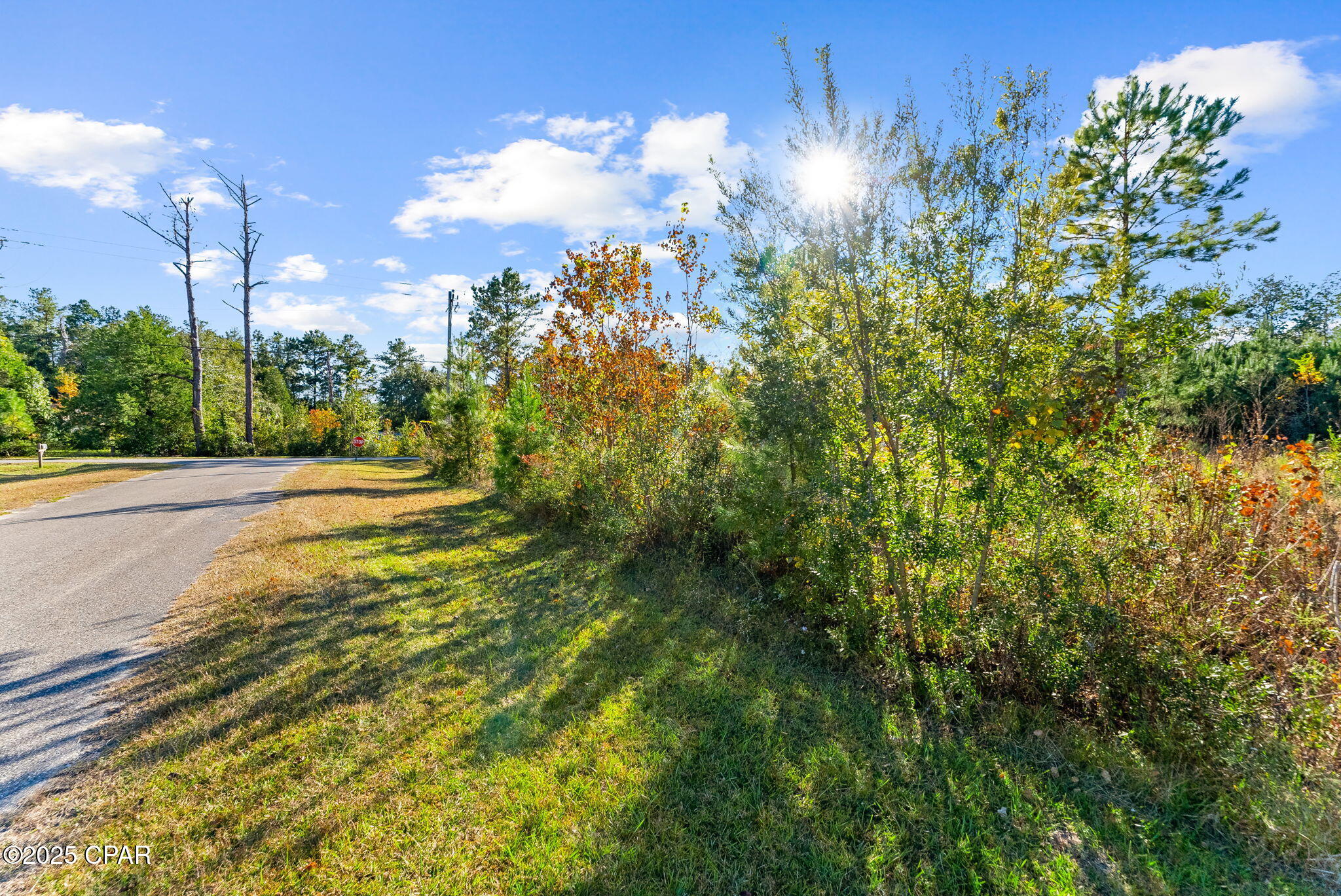 Red Bull Island - Land