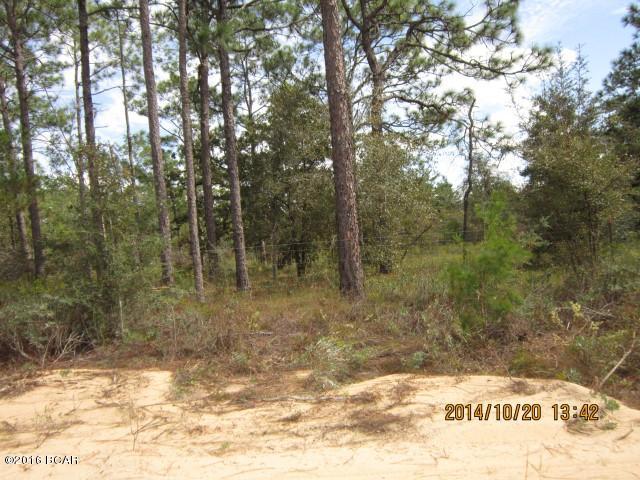 Deer Run Ranchettes - Land