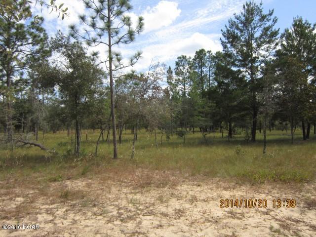 Deer Run Ranchettes - Land