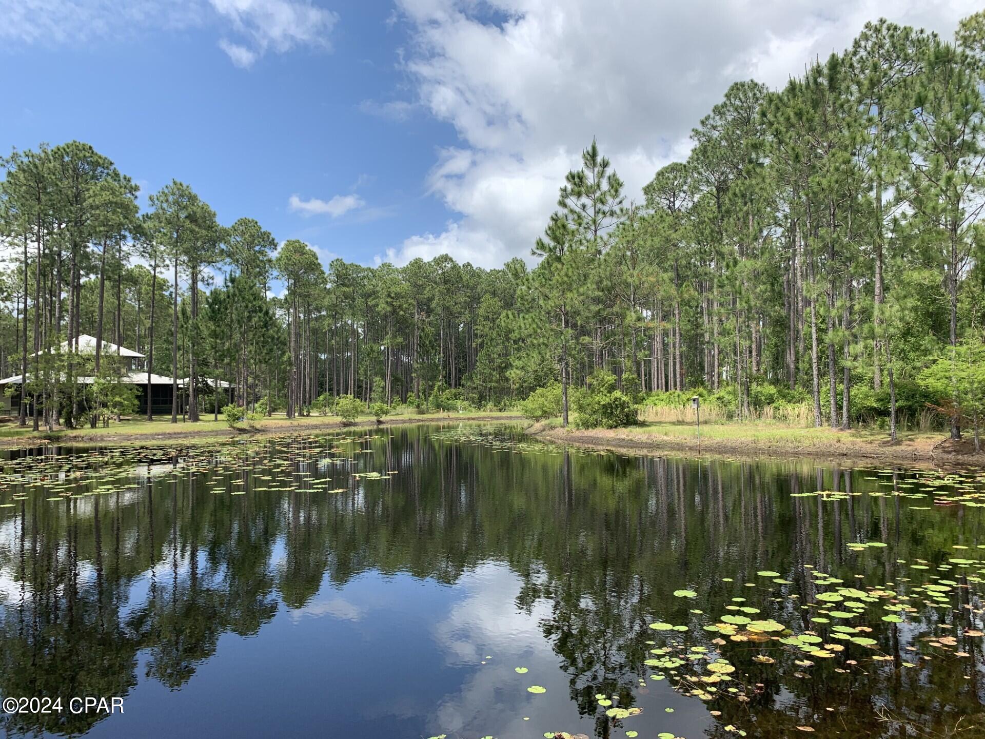 Rivercamps On Crooked Creek - Land