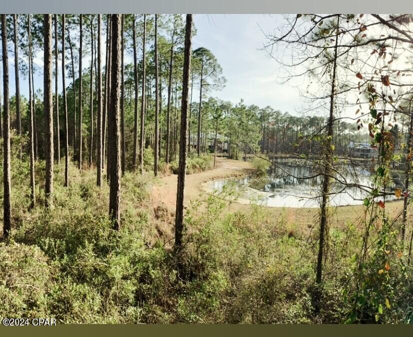 Rivercamps On Crooked Creek - Land