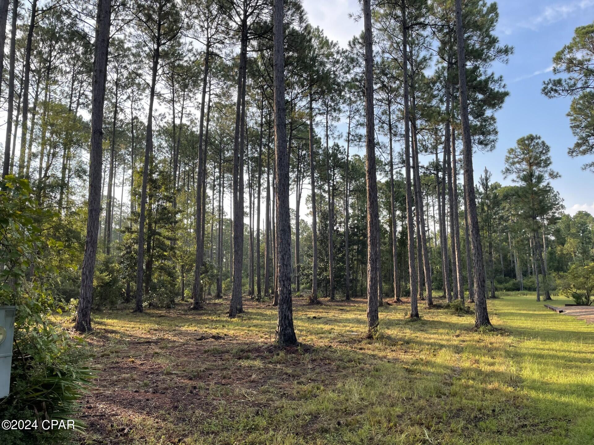 Rivercamps On Crooked Creek - Land