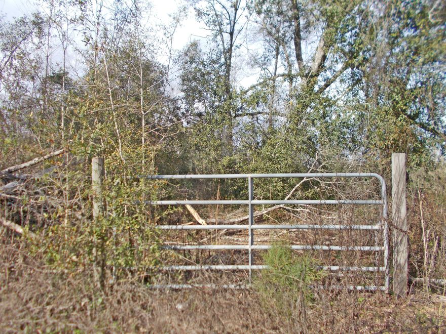 Wooded 20 ac parcel lots of road frontage and lots of high land to build or put a mobile home on, just a short drive from town, there are numerous  sites for home or a mini farm,  there is a well in place on the property.