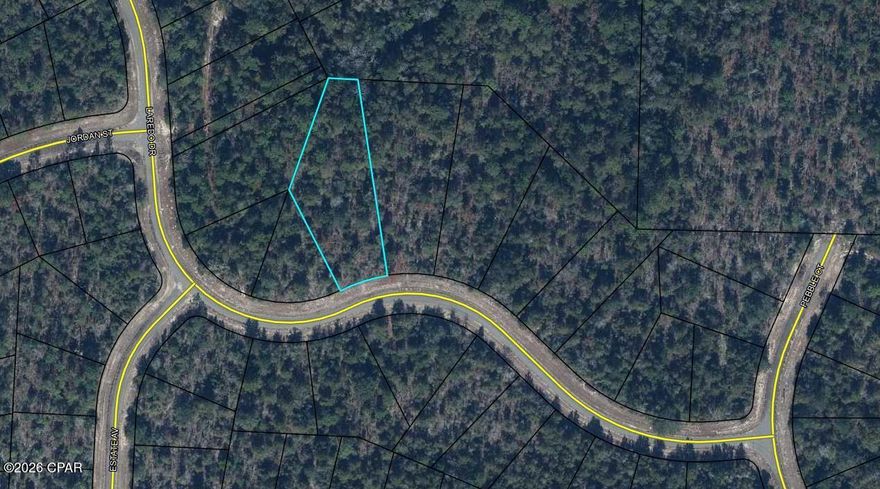 Build your dream home or invest in Florida's future growth with this beautiful vacant lot located in the peaceful Sunny Hills Subdivision of Chipley! 
Reasons to love it: 
Peaceful community surrounded by nature and beautiful lakes
Just a short drive to Panama City Beach and the Gulf Coast
Great fishing, boating, and golfing nearby
Quiet country living with city conveniences only minutes away 

Call your Realtor today and invest in your future!