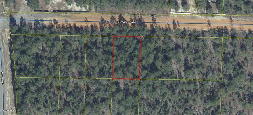 Lightly wooded lot in growing Mossy Head community of DeFuniak Springs. Perfect spot to build your new home or you could put a mobile home here. No utilities currently on the property but power is on the street. Public water is available with paid tap fee. Septic tank will be required. Property is located minutes from Blackstone Golf Course and Interstate-10. DeFuniak Springs and Crestview are approximately 15 minutes away and it is approximately 30 minutes to Niceville and Eglin Air Force Base.  Two adjoining lots (.229/acre each) also for sale separately (MLS #702268 and #702270).